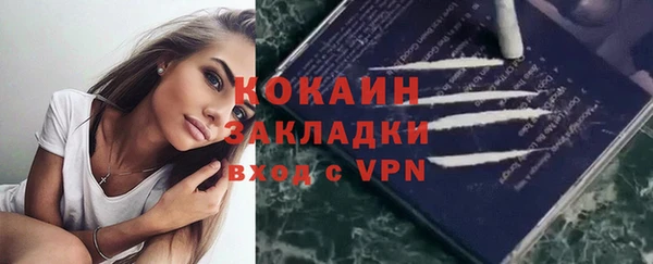 хмурый Абаза