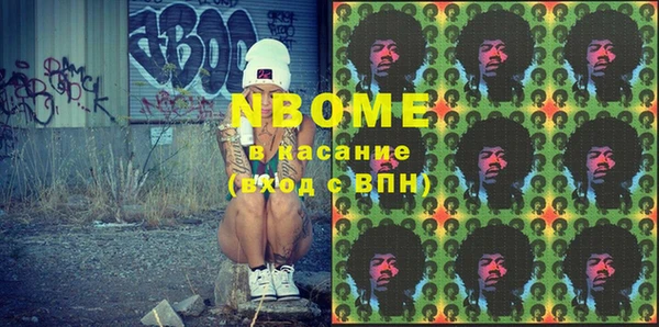 хмурый Абаза