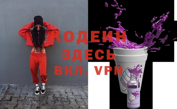 хмурый Абаза