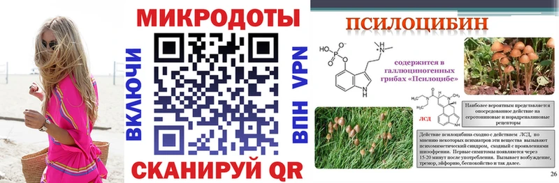 Псилоцибиновые грибы ЛСД  купить наркоту  MEGA зеркало  Ртищево 