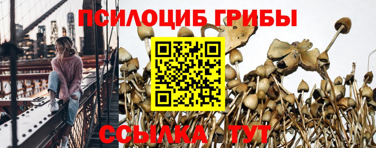 Псилоцибиновые грибы прущие грибы Ртищево