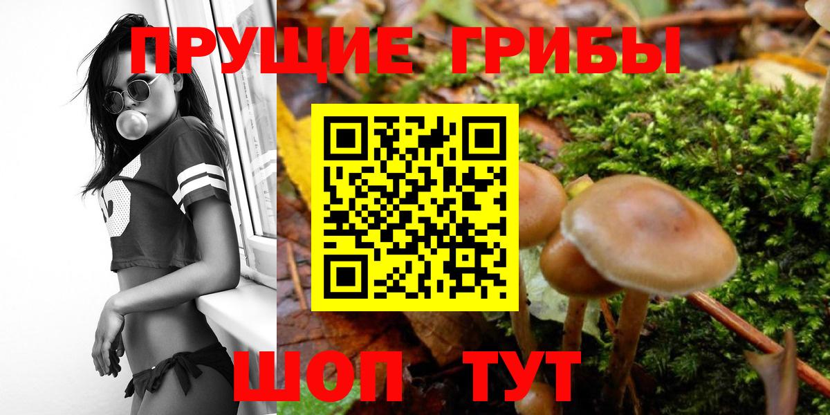 Псилоцибиновые грибы Magic Shrooms  Вход с VPN  Ртищево 